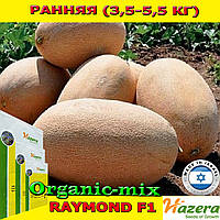 Насіння, диня РАЙМОНД F1 / RAYMOND F1, ТМ Hazera