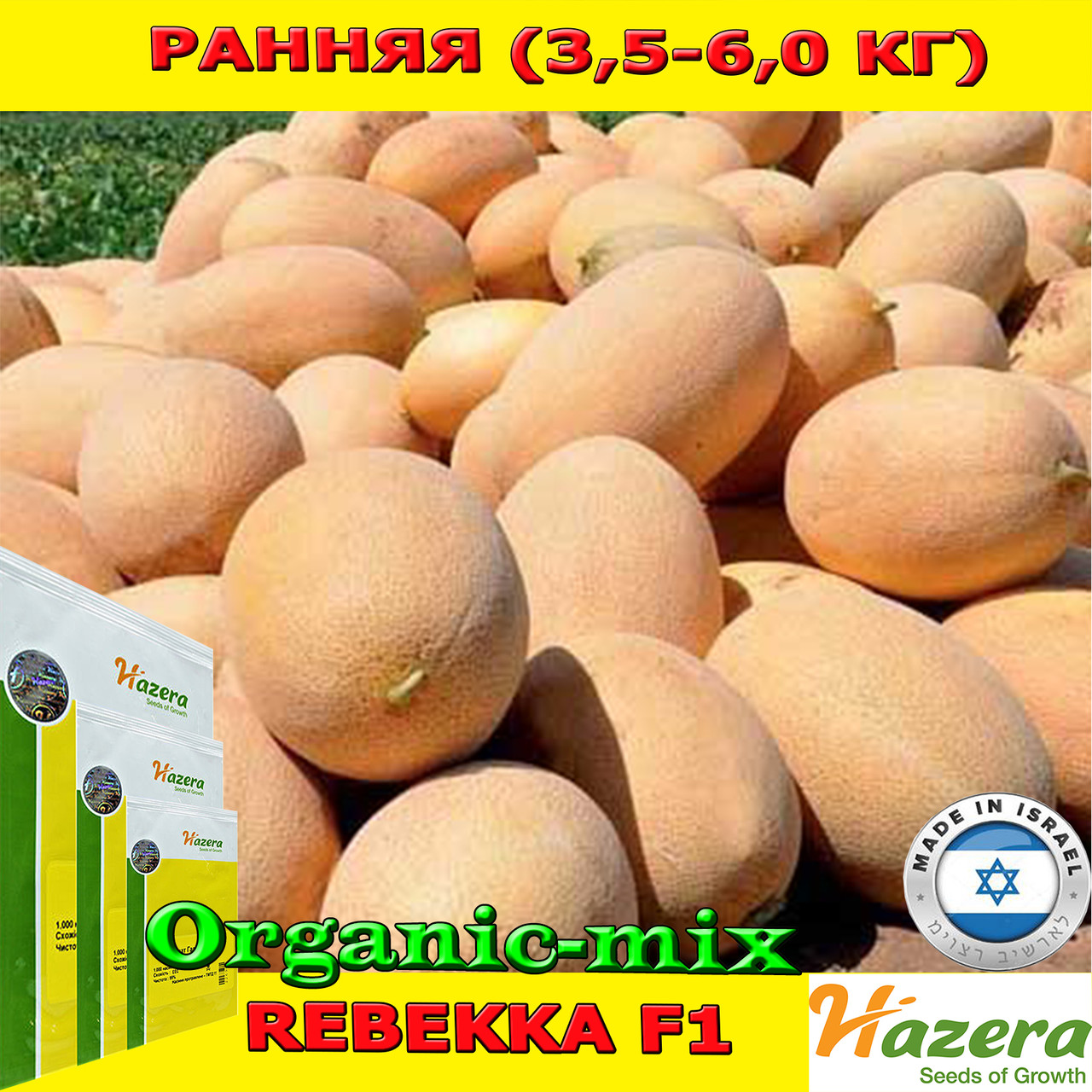 Насіння, диня РЕБЕККА F1 / REBEKKA F1 раннє 5000 насіння ТМ Hazera, фото 1