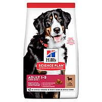 Сухой корм Hills для собак крупных пород с ягненком и рисом SP Canine Adult Advanced Fitness Large Breed 14 кг