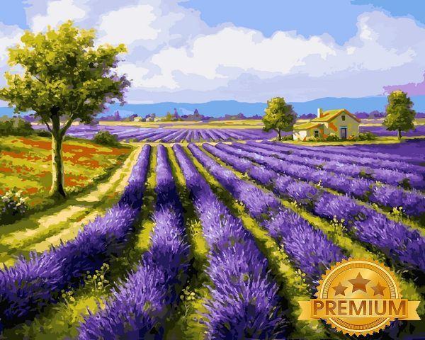 Картина за номерами 40х50 см Babylon Premium (кольоровий полотно + лак) Лавандові поля Художник Сунг Кім (NB