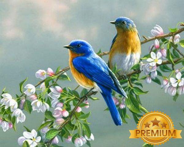 Картина за номерами 40х50 см Babylon Premium (кольоровий полотно + лак) Пташки (NB 809)