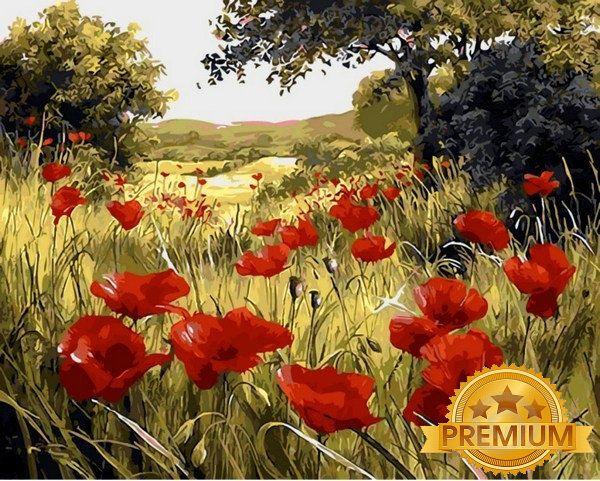 Картина за номерами 40х50 см Babylon Premium (кольоровий полотно + лак) Макова поляна Художник Марі Дипналь