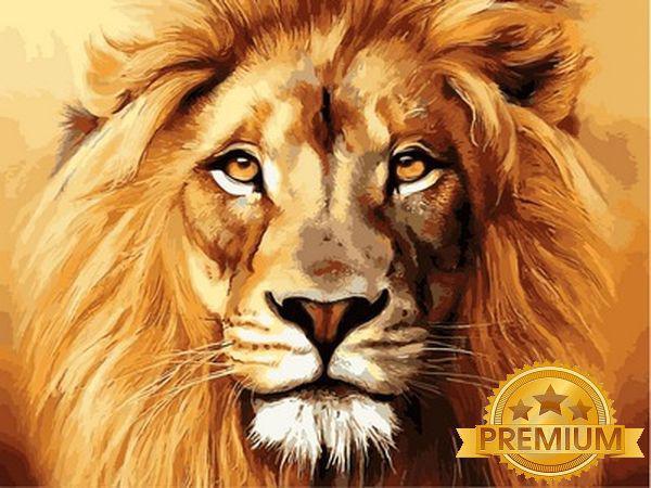 Картина за номерами 40х50 см Babylon Premium (кольоровий полотно + лак) Лев (NB 100)