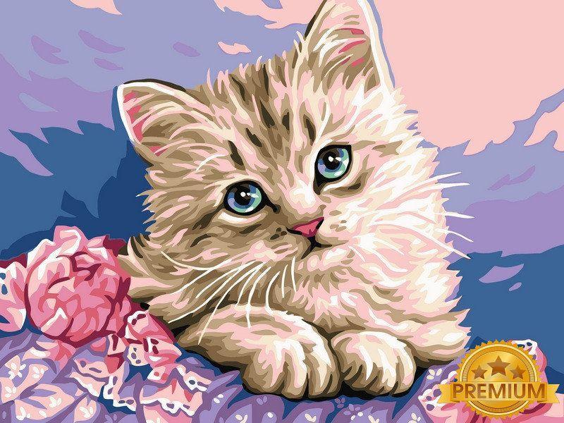 Картина по номерам 40х50 см. Babylon Premium (цветной холст + лак) Милый котик (NB 118), фото 1
