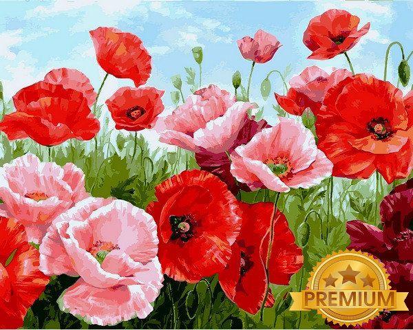 Картина за номерами 40х50 см Babylon Premium (кольоровий полотно + лак) Маки (NB1111)