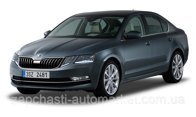 Шкода Октавия Skoda Oktavia 2017- (A7)