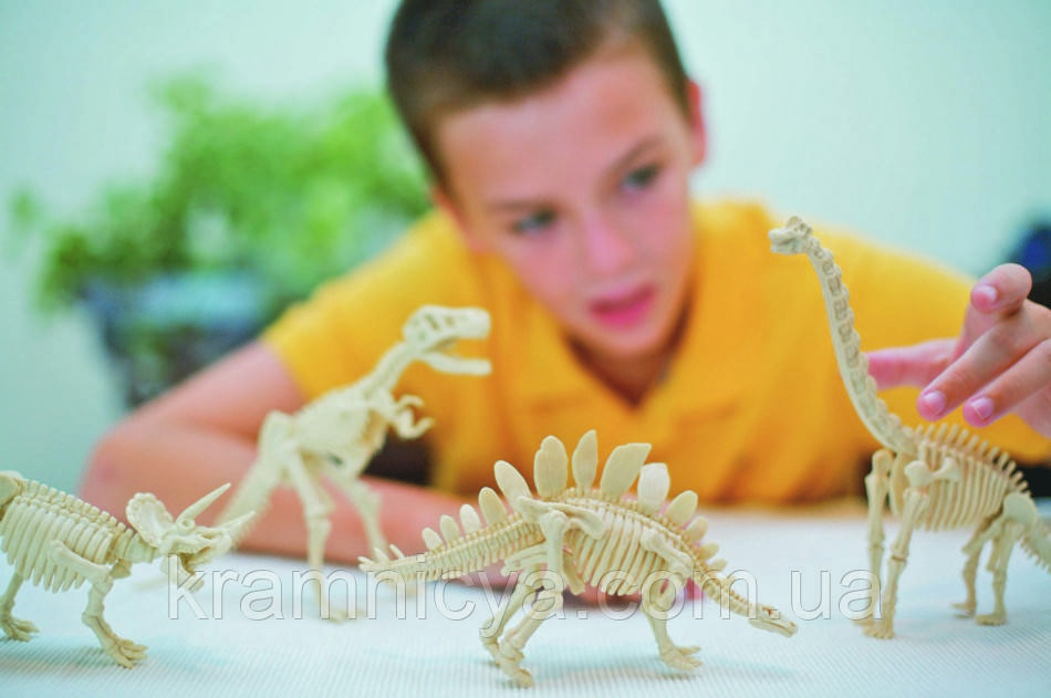 Раскопки динозавров DINO PALEONTOLOGY Тиранозавр, Протоцератопс (DP-01-03) - фото 7 - id-p546420493