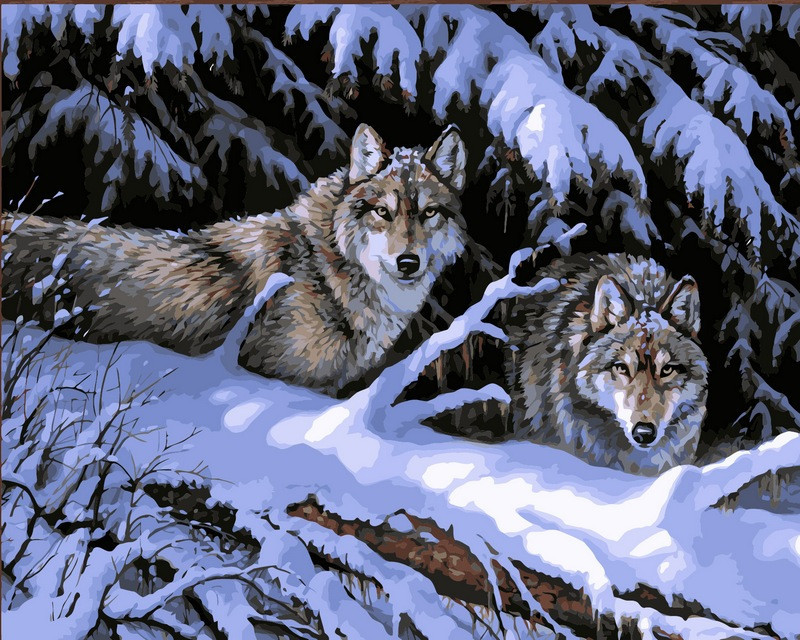 Картина за номерами 40х50 см Babylon Вовки в лісі Художник Миллетт Розмарі (VP121), фото 1