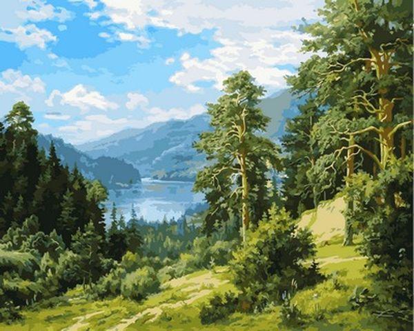 Картина за номерами 40х50 см Babylon Спогад про Сибіру Художник Сергій Басов (VP 848)
