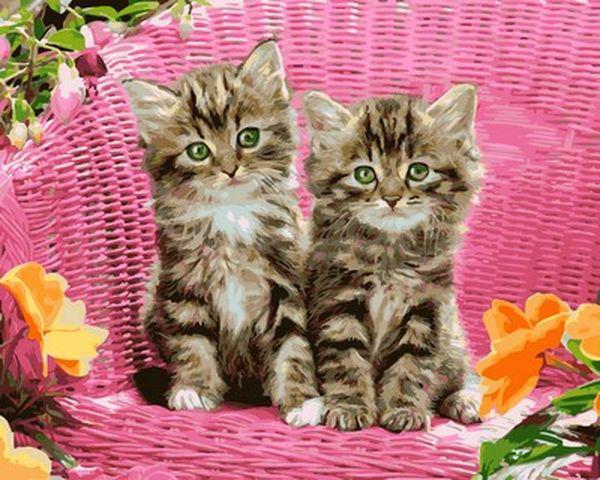 Картина за номерами 40х50 см Babylon Кошенята на стільці (VP 932), фото 1