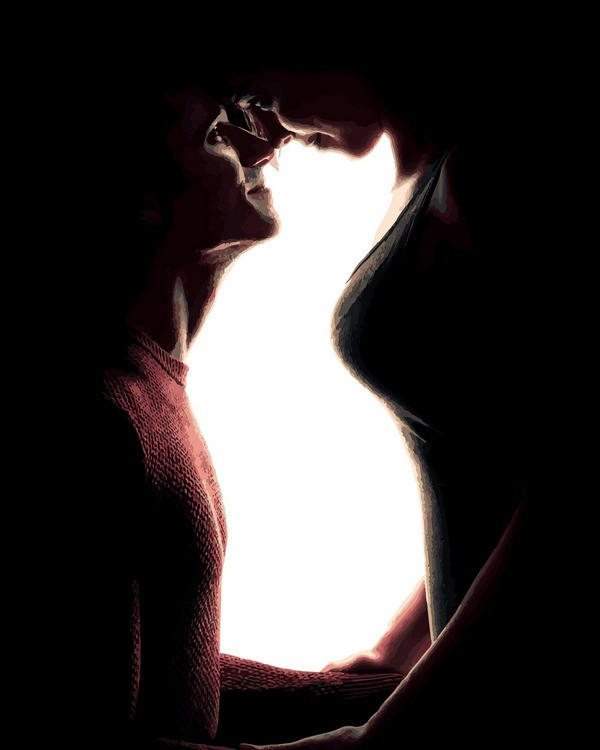 Картина за номерами 40х50 см Babylon Силует кішки Фотохудожник Амол Джадхав (VP 1106), фото 1