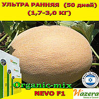 Насіння, диня НЕВО F1 / NEVO F1 надрання, ТМ Hazera (Голландія)