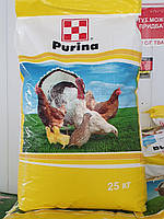 Корм для домашних кур несушек Purina 25 кг 41069