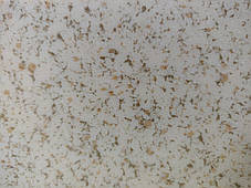 Напівкомерційний лінолеум Grabo Astral Color всі кольори, фото 3