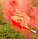 Кольоровий дим для фотосесії Червоний Maxsem MA0513 Red smoking fountain 60 сек, фото 6