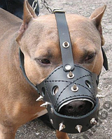 Шкіряний намордник з шипами "Lockdog" чорний