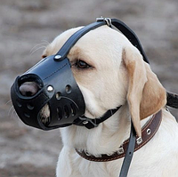 Шкіряний намордник для собак "Lockdog" чорний
