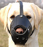 Шкіряний намордник для собак "Lockdog" чорний, фото 3