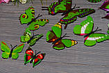 Об'ємні 3Д зелені метелики для декору інтер'єру, фото 2