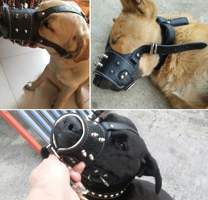 Шкіряний намордник для собак з тисненем рептилія "Lockdog" чорний