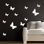 Ексклюзивні 3D- метелики для декору білі, фото 4