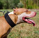 Класичний нашийник з натуральної шкіри "Lockdog" чорний, фото 3