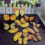 3D- метелики для декорації жовті., фото 4