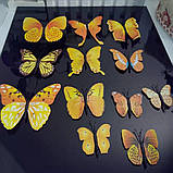 3D- метелики для декорації жовті., фото 5