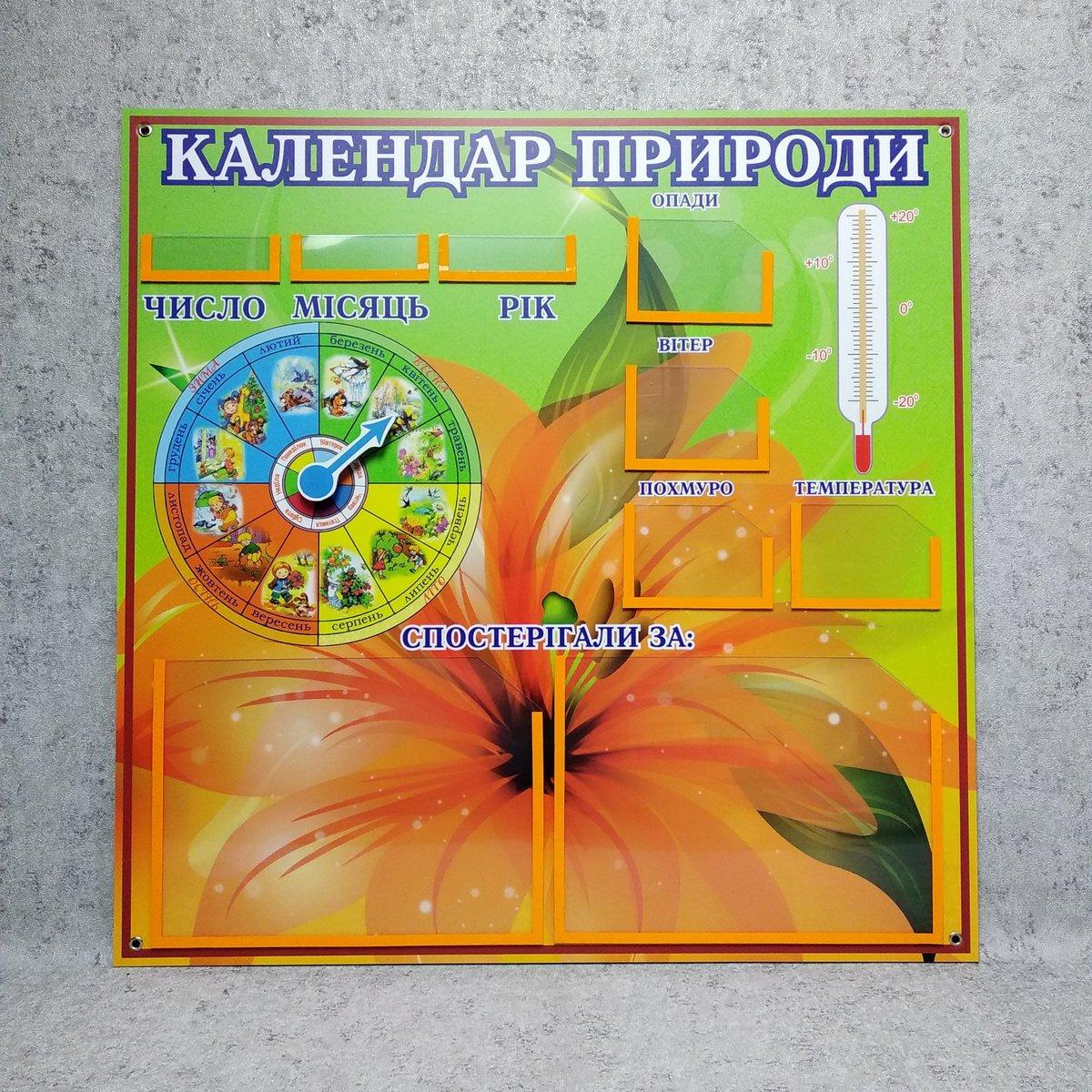 Куточок природи для школи Лілія