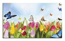 Картина на полотні "Метелики та тюльпани"