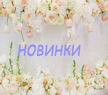 НОВИНКИ