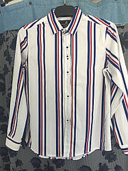 Сорочка дитяча довгий рукав