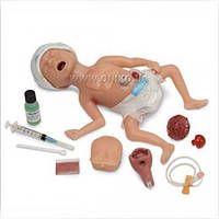 Модель недоношенного новорожденного