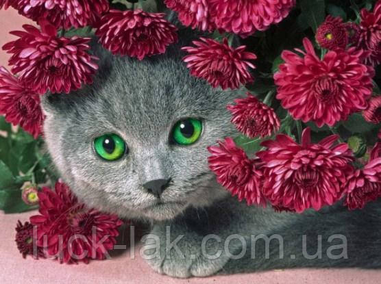 Алмазна вишивка, зеленувато-очікувальний котик у квітах 30х40 см, квадратні стрази, повна викладка