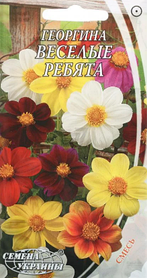 Насіння квітів Жоржина "Веселі хлопці", однорічна, 0.3 г, "Насіння України", Україна.