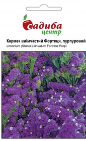 Семена цветов Кермек (Статице) выемчастый "Крепость", 0,1 г "Пан Американ", Нидерланды.