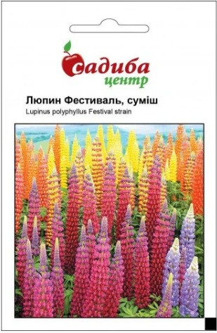 Купить Семена Люпин Фестиваль смесь 0,3 г, Hem Zaden, цена 5 грн — Prom ...