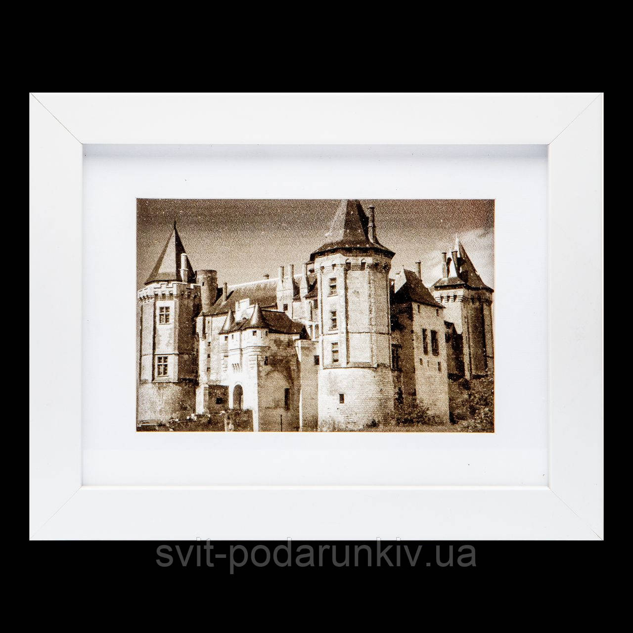 Картина чорно-біла 18*23 B-77-21 (білий)