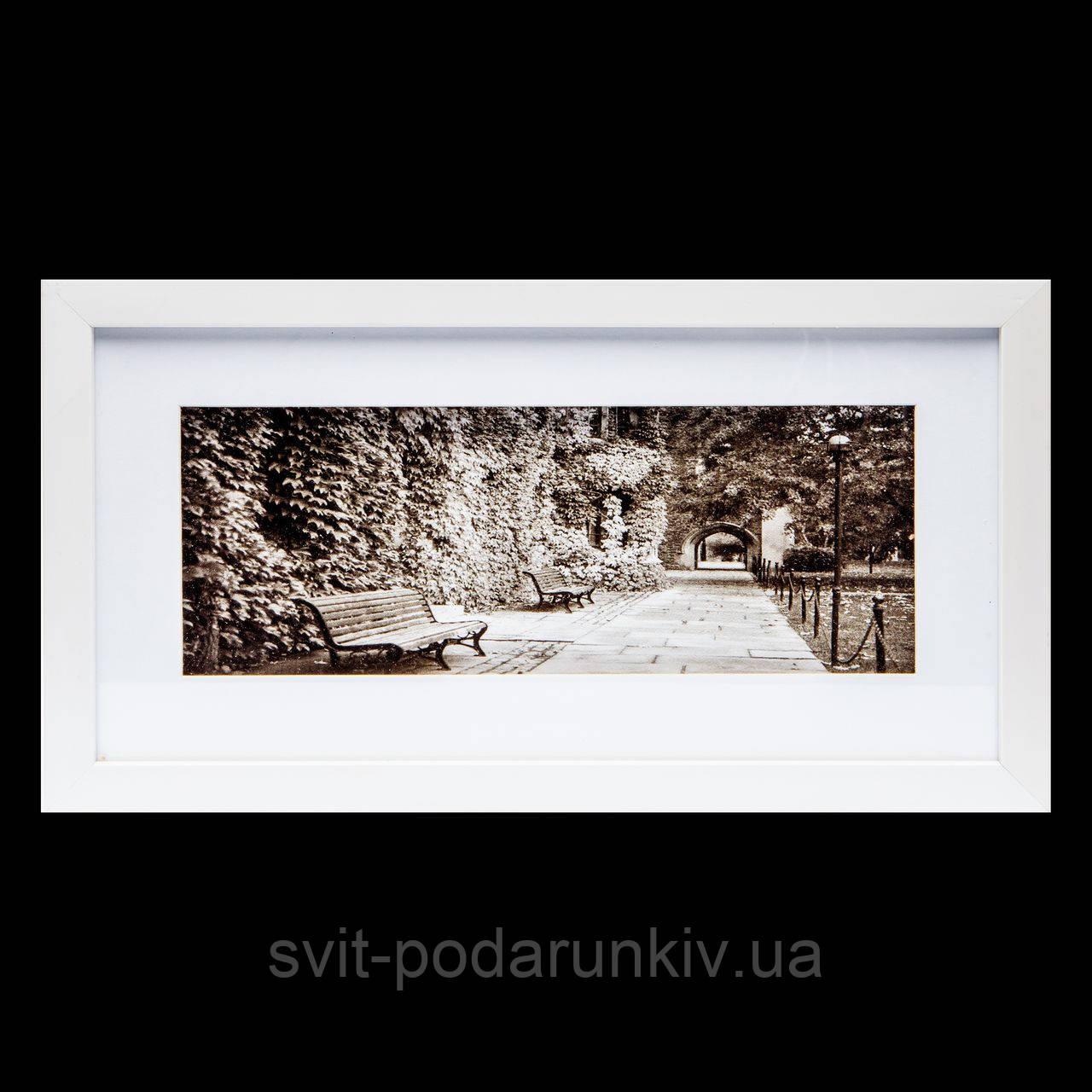 Чорно-біла картина для інтер'єру ретро 23*43 B-80-15 (білий), фото 1