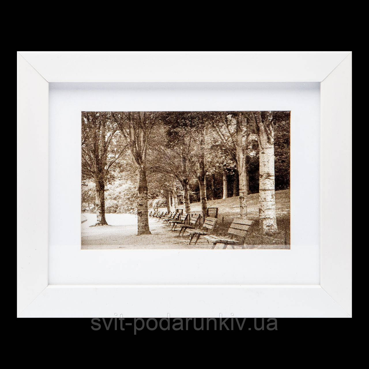 Картина чорно-біла 18*23 B-77-06 (білий), фото 1