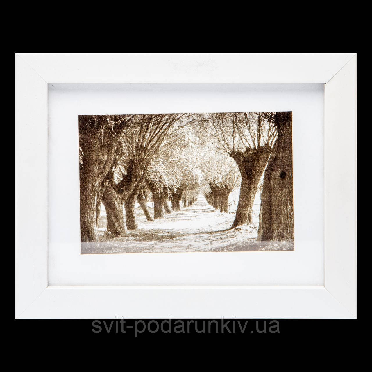 Картина чорно-біла 18*23 B-77-07 (білий), фото 1