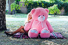 Ведмедик Вети 200 см Рожевий