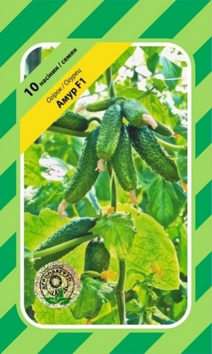 Огірок Амур F1 - 10 насінин Агропакгруп, фото 1