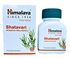 Шатавари екстракт, Shatavary - лікування захворювань жіночих статевих органів, зміцнення жіночого здоров'я