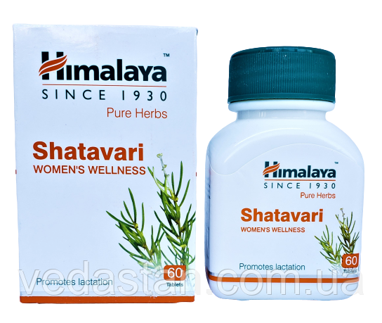 Шатавари екстракт, Shatavary - лікування захворювань жіночих статевих органів, зміцнення жіночого здоров'я, фото 1