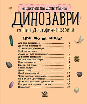Ранок Енцик. дошкільника (Динозаври) (У), фото 6