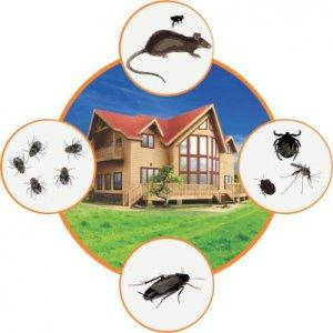 Засоби заисту від тарганів, комарів, комах і мух