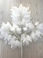 Аркуш фікуса Бенджаміна (білий 50 см)., фото 3