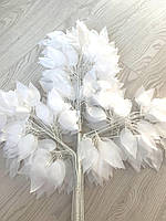 Аркуш фікуса Бенджаміна (білий 50 см)., фото 2