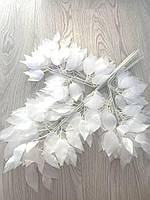 Аркуш фікуса Бенджаміна (білий 50 см)., фото 4